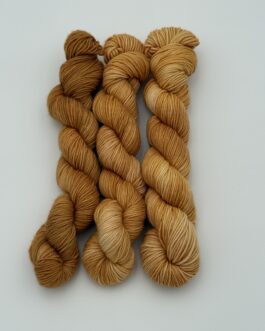 Palomino