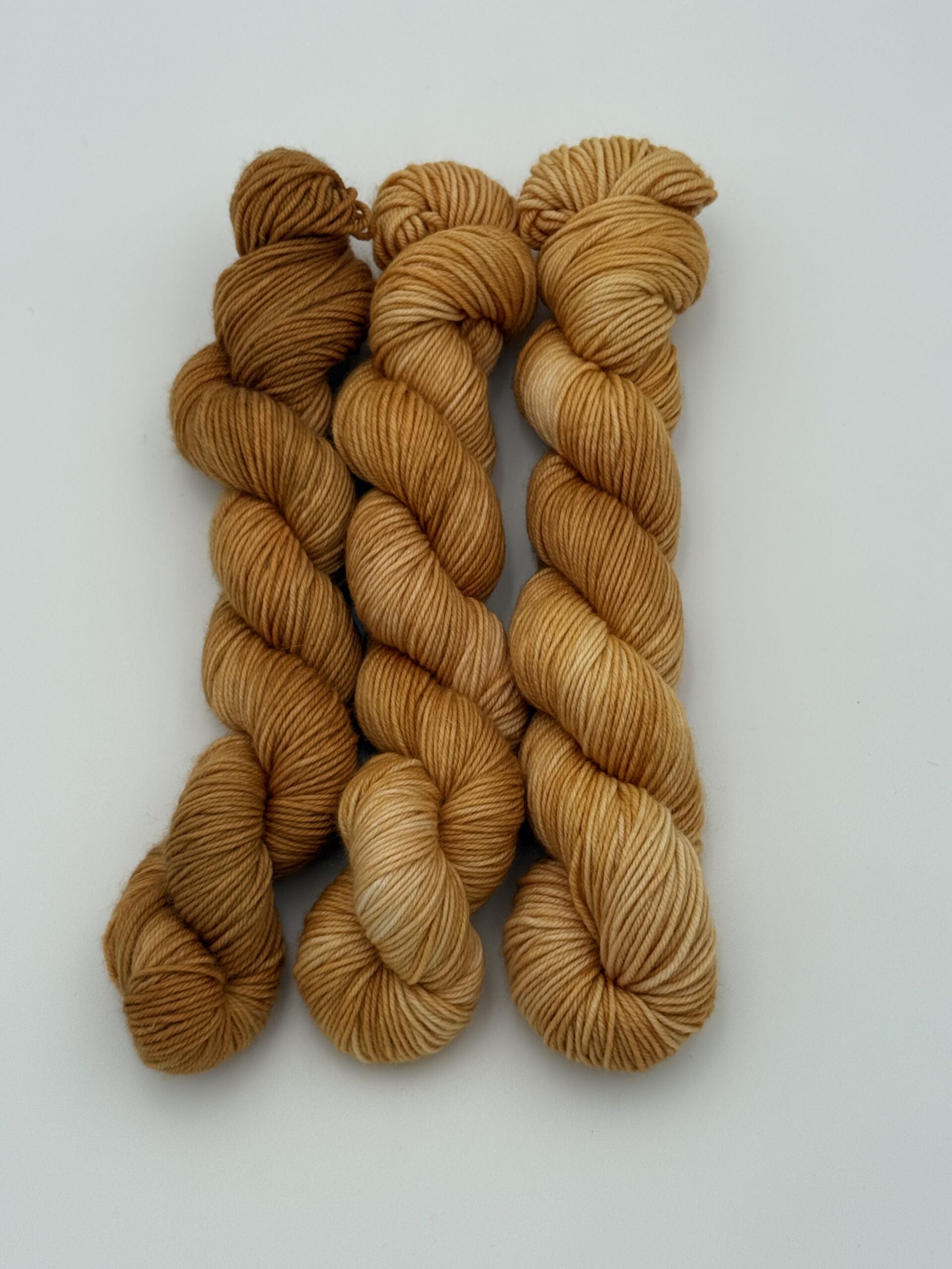 Palomino