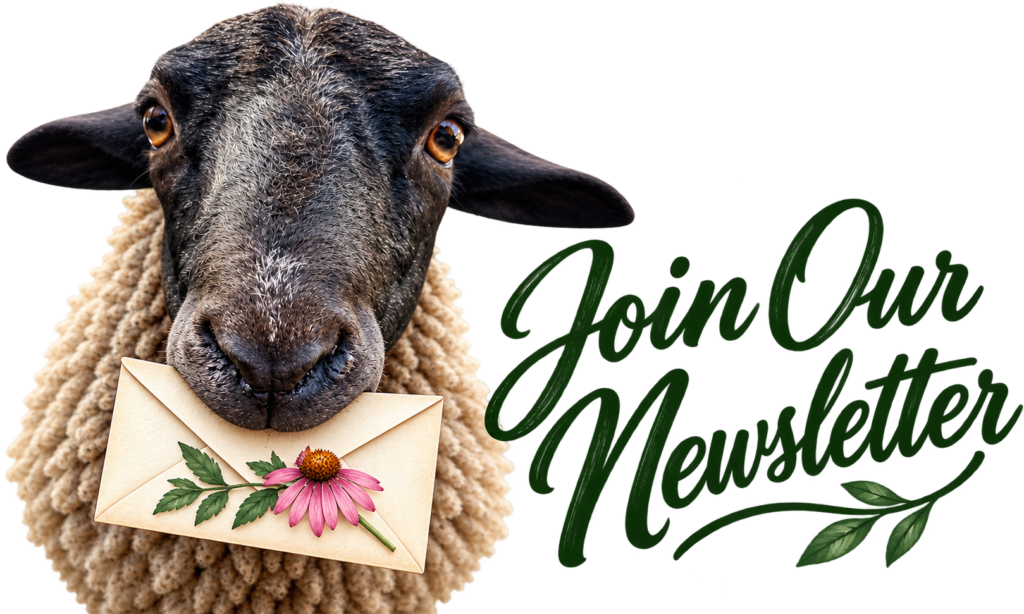 Join our Newsletter